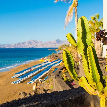 Vista Mar ヴィラ *